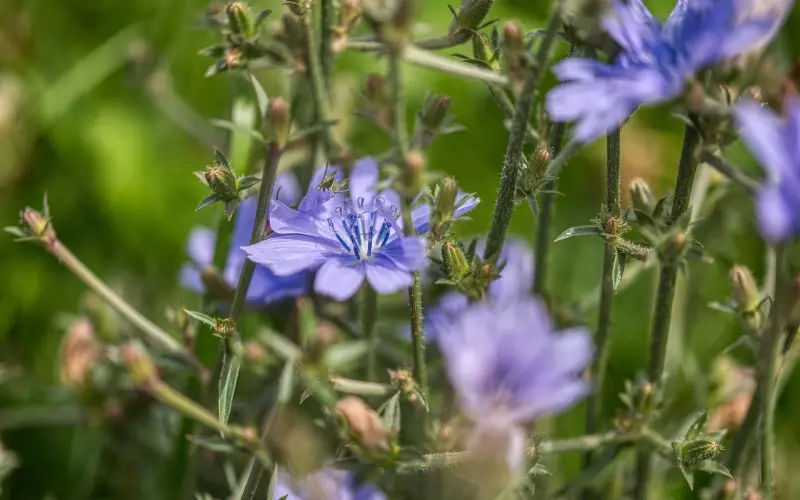 情感咨询：前任突然联系自己是什么意思？