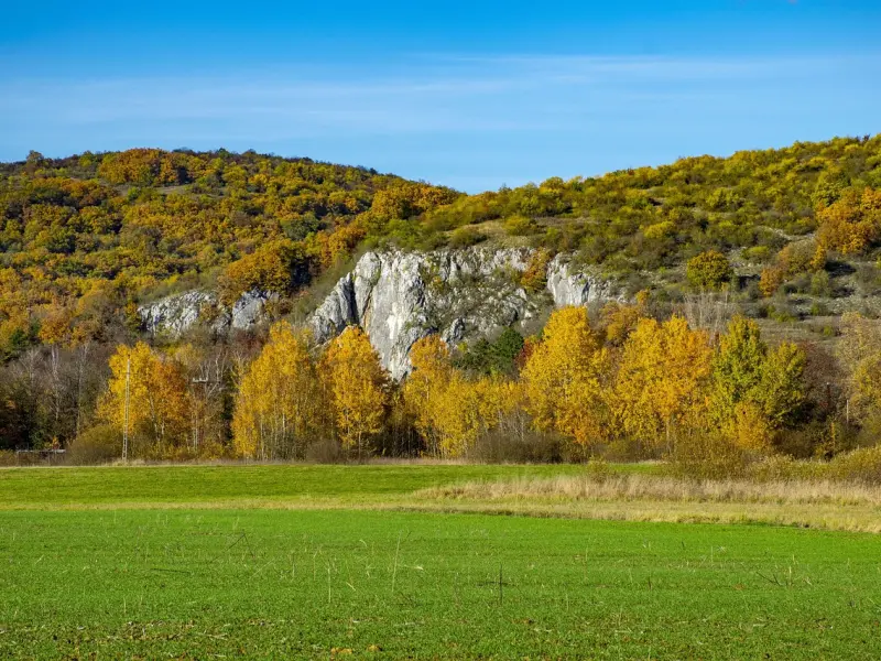 情感咨询：姐弟恋我太主动男友对我很冷淡怎么办