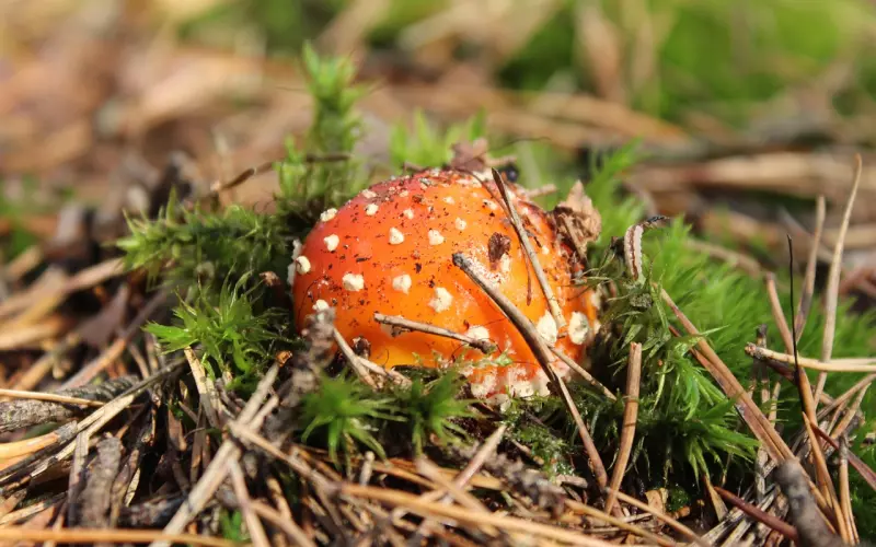 情感咨询：发现男友曾经暗恋的女生在撩他如何办