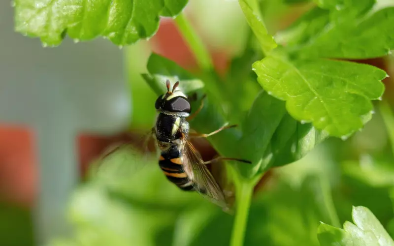 情感咨询：在分手后应该怎样做才对挽回有利
