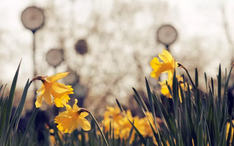 情感咨询：分手后挽回的最佳时间段是哪个时间段？