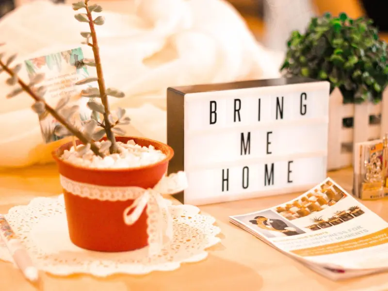 情感咨询：父母让我带男朋友回家但我不想草率结婚怎么办