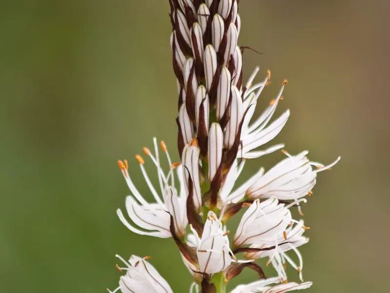 情感咨询：老公不思进取，我想离婚但父母不同意怎么办