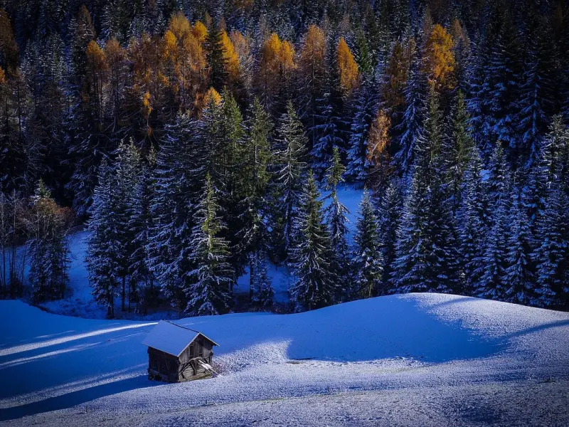 情感咨询：婚后发现和老公三观不合怎么办
