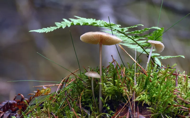 情感咨询：什么能让男人不顾家庭选择抛下一切？