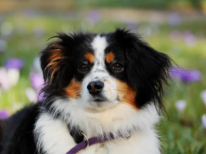 情感咨询：老公脾气不好闹离婚怎么办？5招挽回老公的心