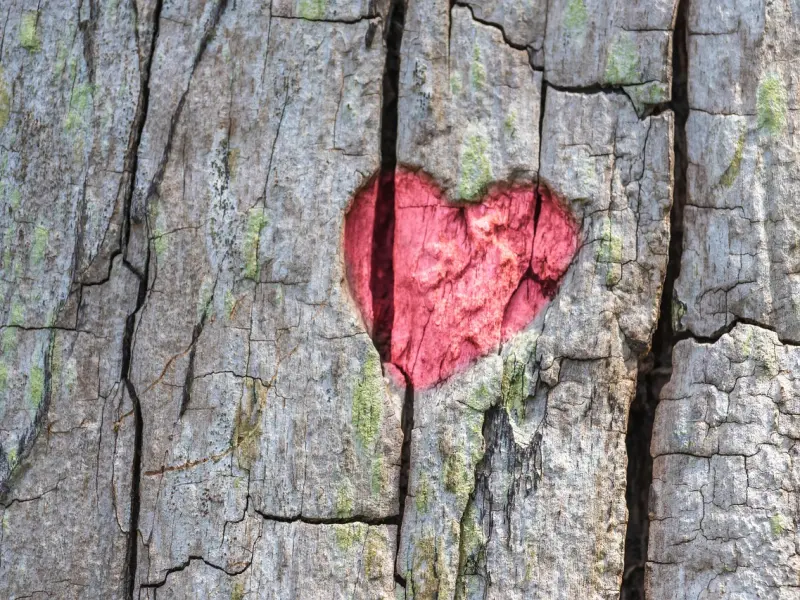 情感咨询：老公不再爱你了怎么办？如何挽回老公的心？