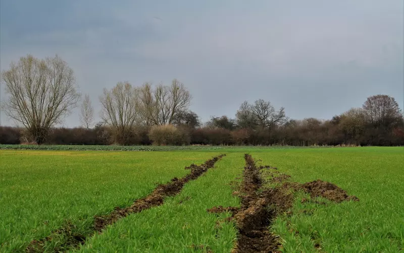情感咨询：当感情陷入困境，4件事让他对你回心转意
