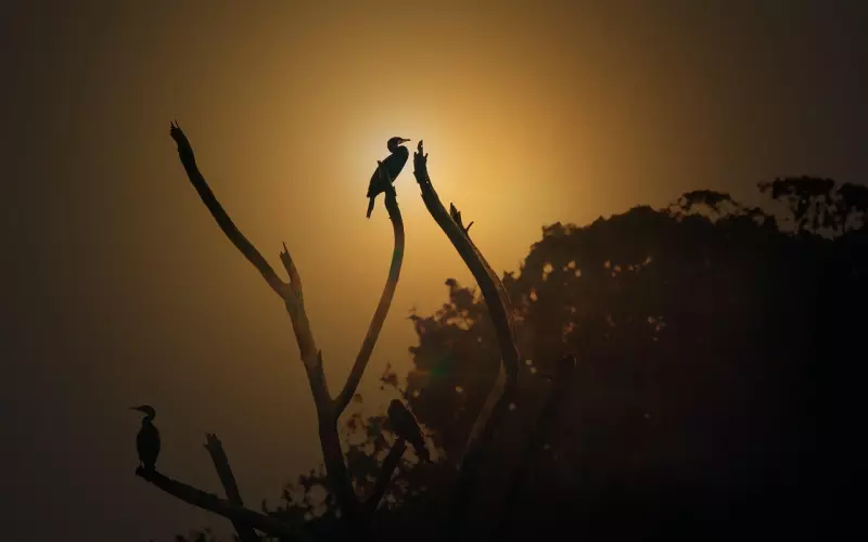 情感咨询：什么时段婚姻危机最容易出现