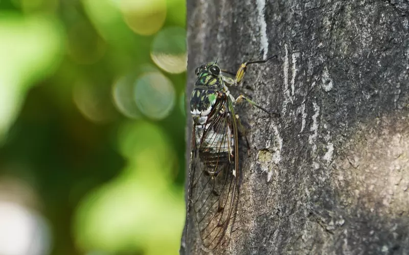 情感咨询：女人找老公，千万不要找这种类型