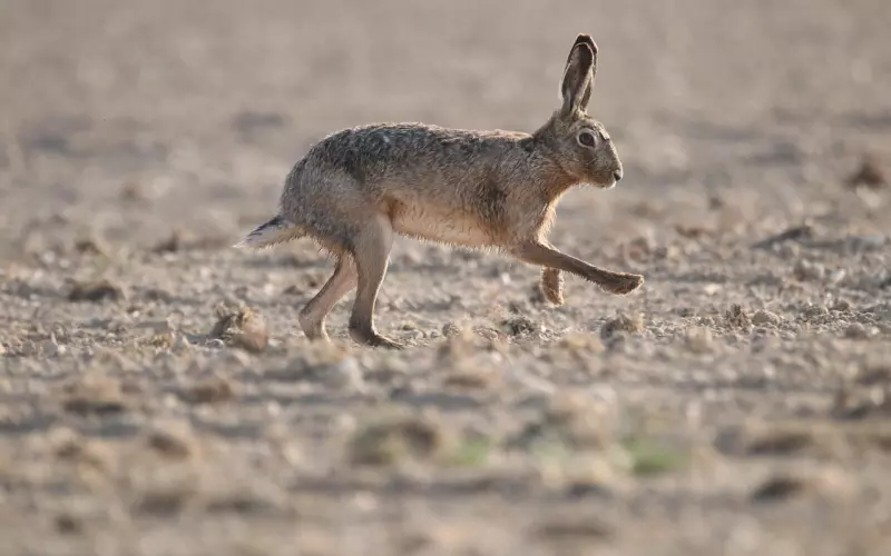【情感咨询】为什么你的爱情来得快去得也快？