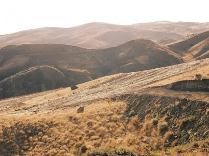 情感咨询：为何女人在婚姻中无法抓住男人的心？