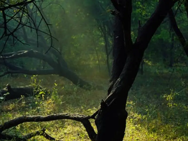 情感咨询：男友如此喜欢我为什么还要聊别的女人？