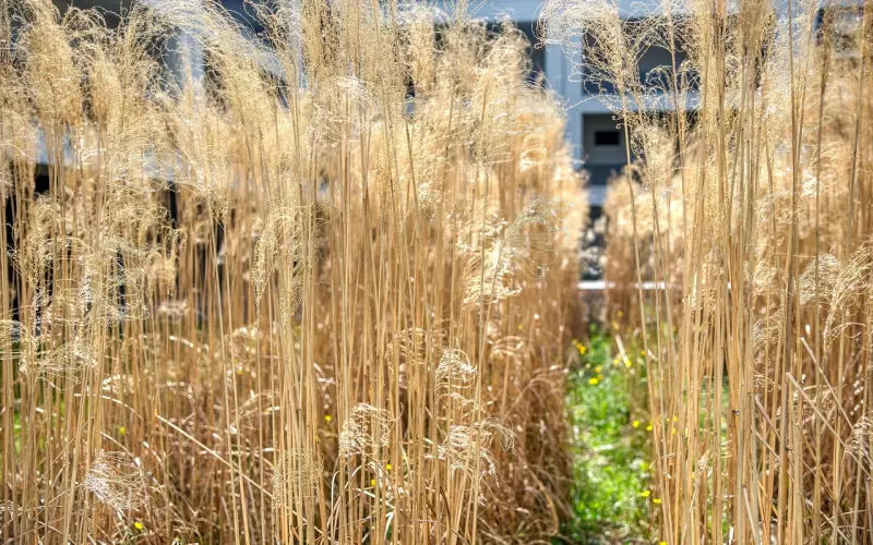 情感咨询：为什么分手了还想复合?女生想复合的四大心理