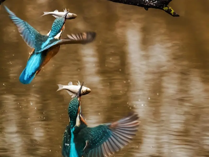 情感咨询：挽回女友，重新抓住她的心