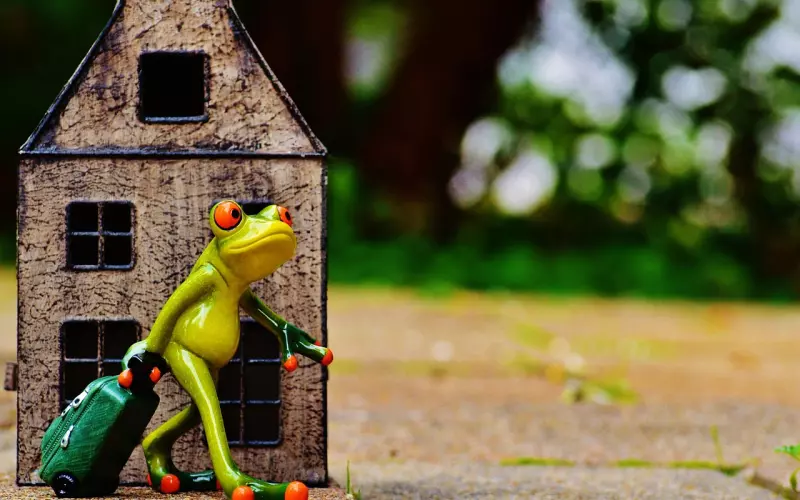 情感咨询：作走了男朋友,我该挽回还是该放弃？