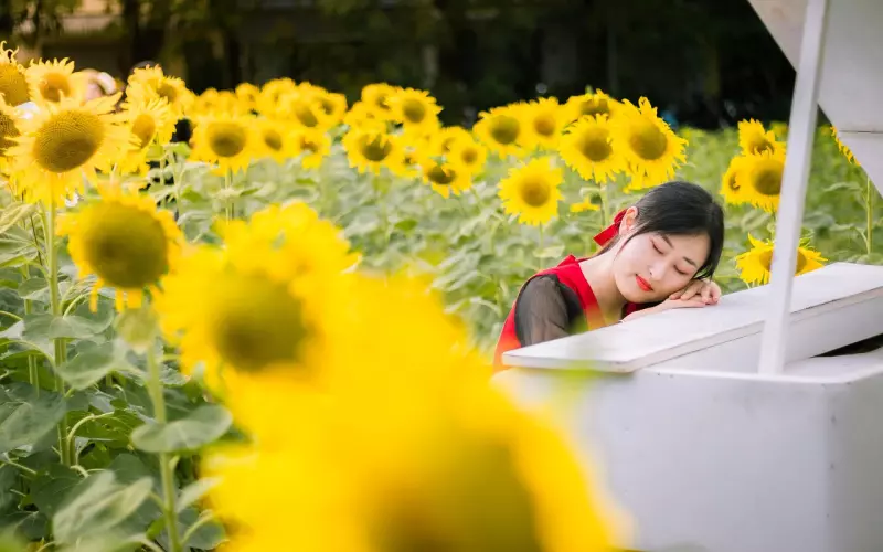 情感咨询师：爱情不是永远的浪漫与鲜花，生活是真实的柴米油盐