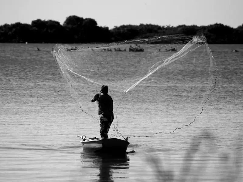 情感咨询师：已婚男人，请不要和一个异性网聊搞暧昧！
