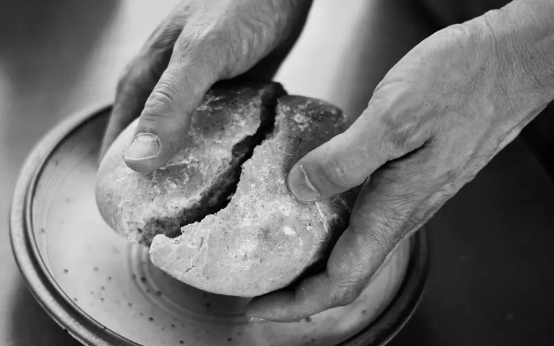 情感咨询师教你：面对现实，该如何取舍面包和爱情