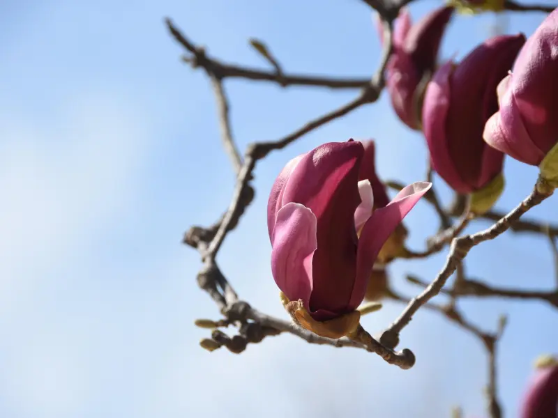 情感咨询师教你：怎样面对老公的频繁吵架
