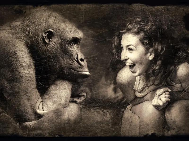 情感咨询师给你支招：如何处理好老婆与异性朋友的关系？