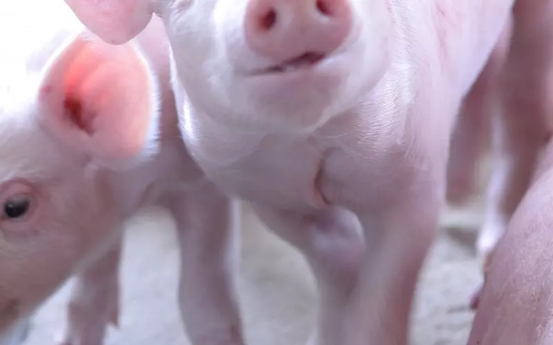 情感咨询师为您出谋划策，助您拯救婚姻危机