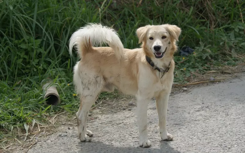 情感疑惑：被前女友伤过，我们还可以像以前一样吗？