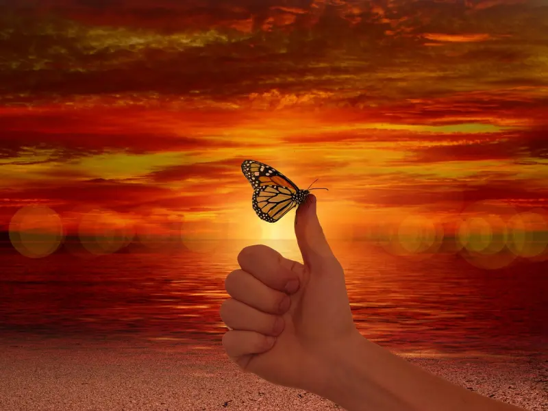 情感疑惑：已婚女同事是真喜欢我还是拿我寻开心？