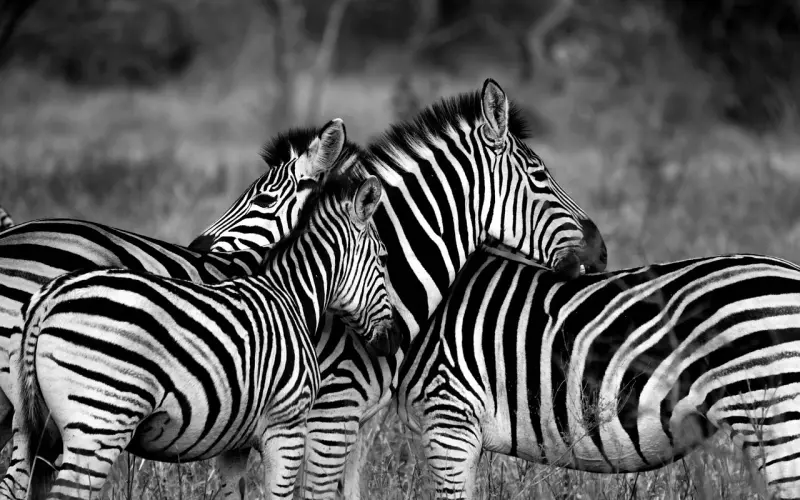 情感疑惑：介意女友有小孩，我们适合一起走下去吗？