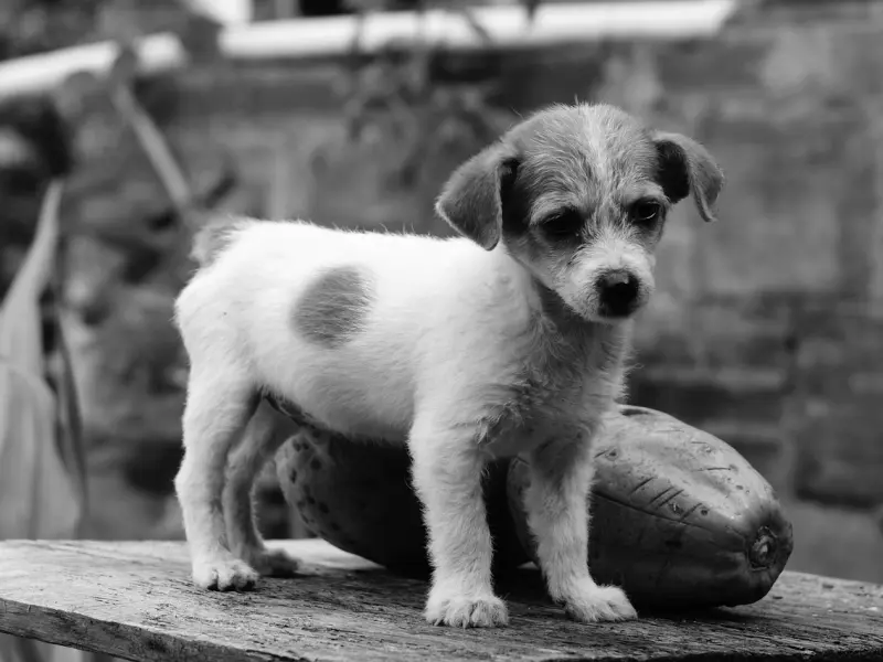 情感疑惑：男友经常不理我，这段感情还有必要走下去吗？