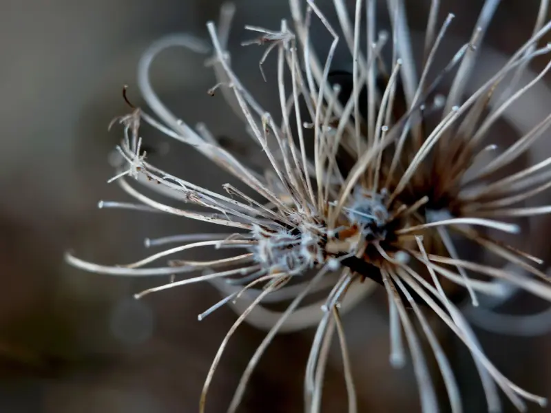 情感疑惑：男友跟前任纠缠不清，这段感情还有必要走下去吗？