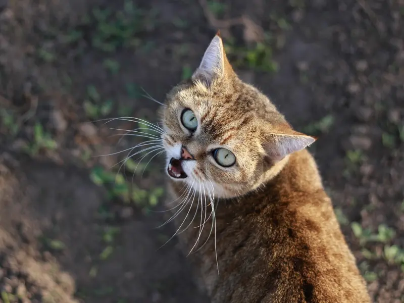情感疑惑：男友喜欢跟别的女生聊天，我该怎么办？