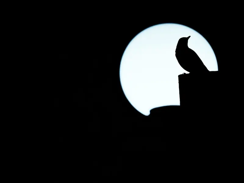 情感疑惑：老婆出轨，心里有阴影不知道该离婚还是继续维持