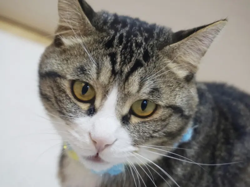 情感疑惑：老婆婚后经常闹脾气，是不是我对她理解和包容心不够呢？