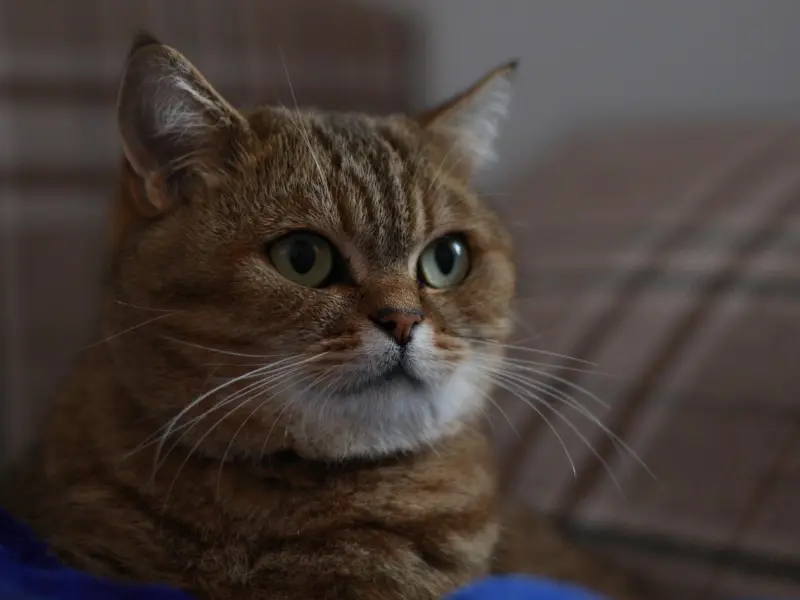 情感疑惑：相亲认识的男孩跟我搞暧昧，他是喜欢我吗？