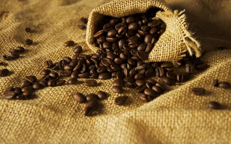 情感疑惑：女友比较“物质”该怎么办？