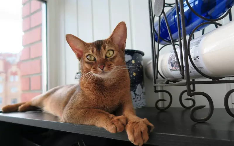 情感疑惑：婚后遇到比我老公好的人，我该为了他离婚吗？