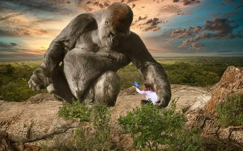 情感专家详解：如何编辑挽回男朋友的信