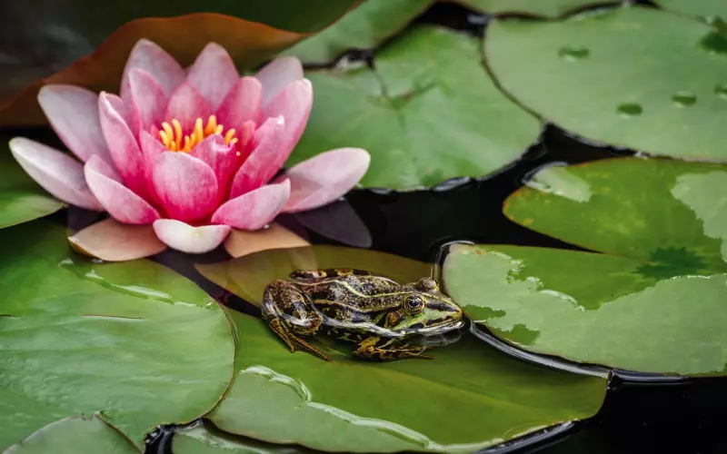 情感专家：非独和独生是婚姻雷区