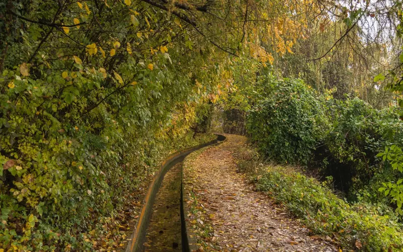 挽回爱情方法之情绪引导法