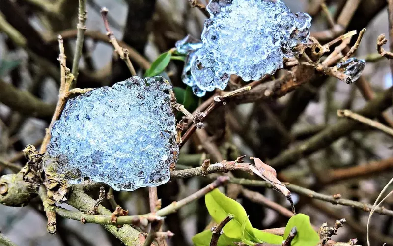 情感导师教你如何识别渣男