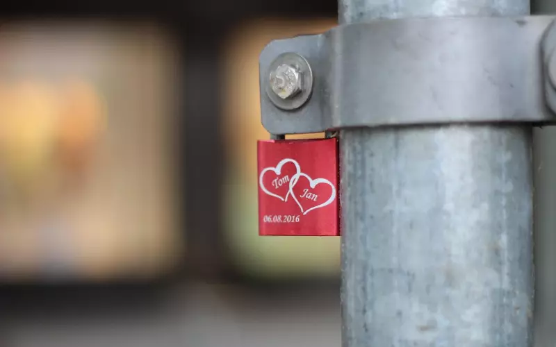 忠诚者人格的情感心理