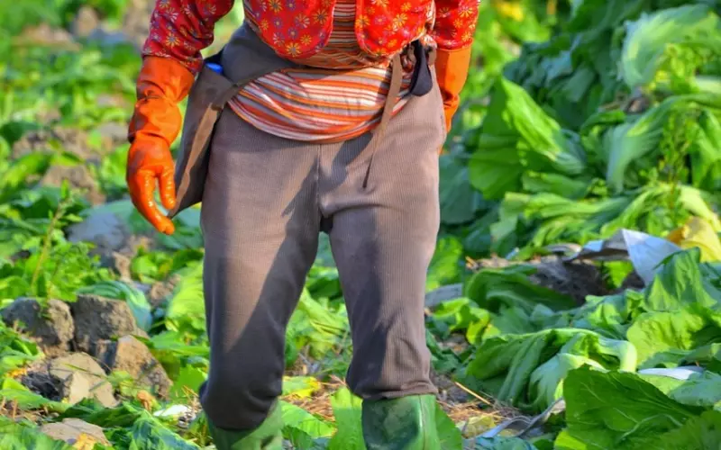 实干型人格的情感心理