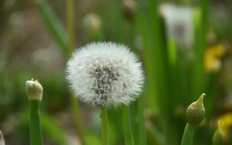 句句说到心坎上的情感语录，精辟入骨
