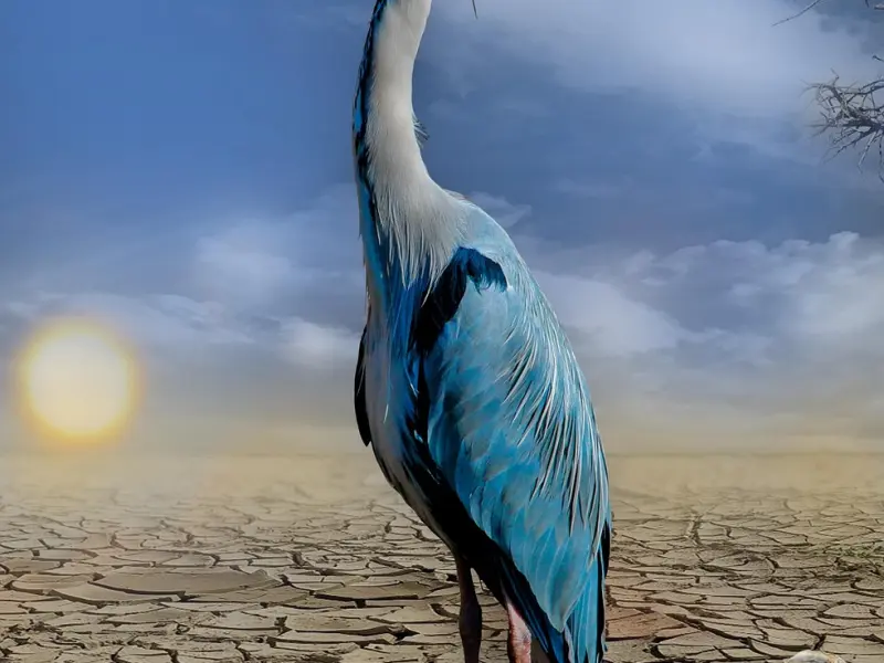 情感挽回：怎么才能挽回一颗伤透了的心