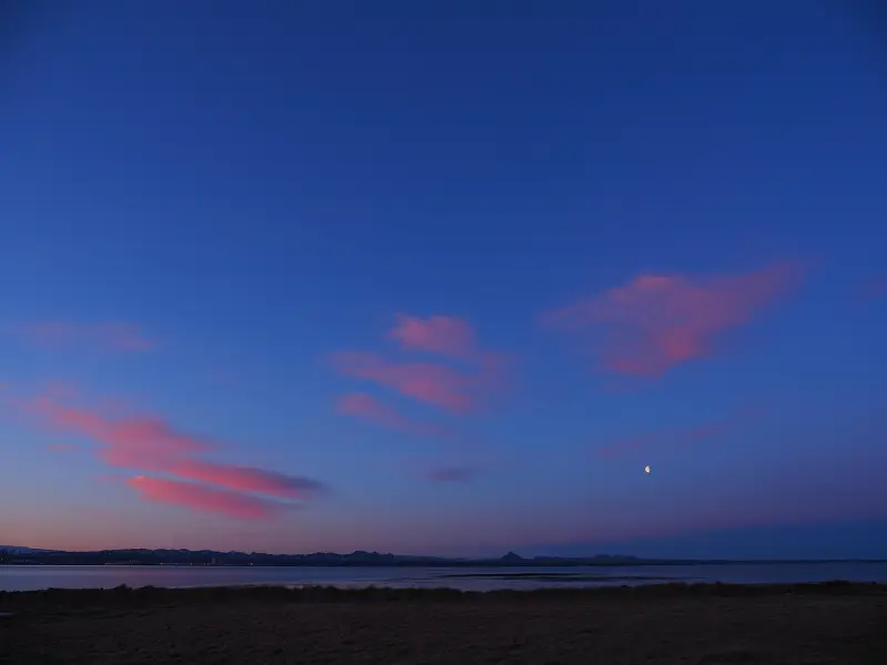 感情挽回，是要真心的挽回，不是虚伪的挽回