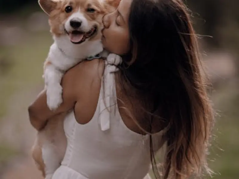 情感挽回技巧：男友提出分手想要挽回怎么做呢