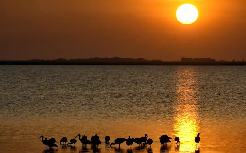 情感挽回，男人必懂的几点女人小心思