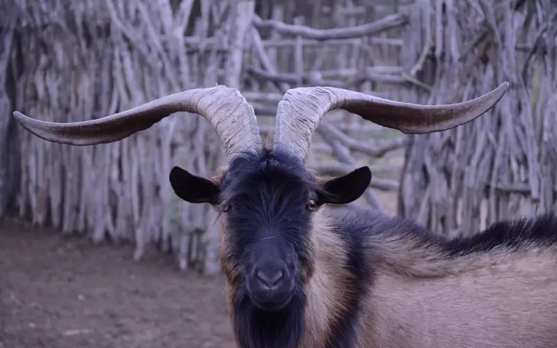 情感挽回——关于冷处理的两大误区