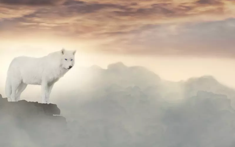 【情感修复】怎样正确处理老公出轨引起的情绪？